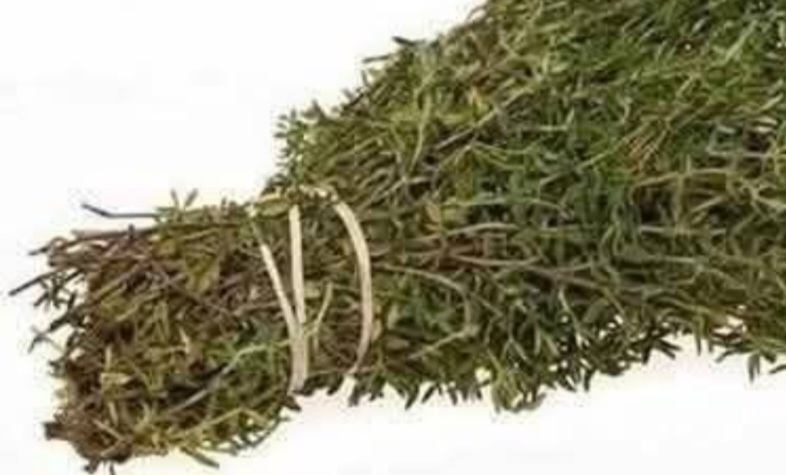 The Most Potent Herb That Destroys Parasites, Urinary Tract