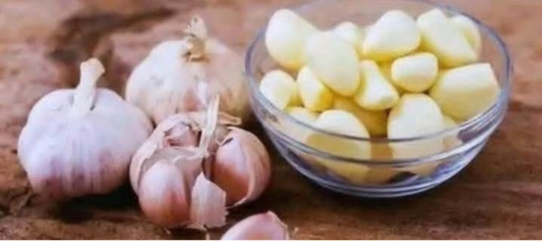 GARLIC KILLS 14 TYPES OF BACTERIA AND 13 TYPES