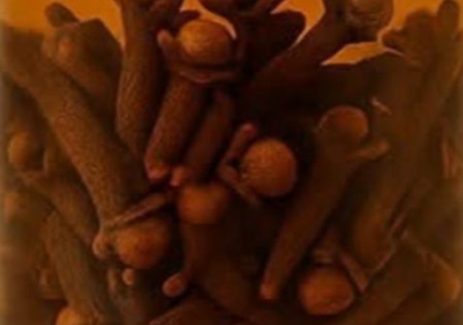 HEALTH BENEFITS OF CLOVES: How to Use Cloves to Combat Respiratory Infections and Bronchitis