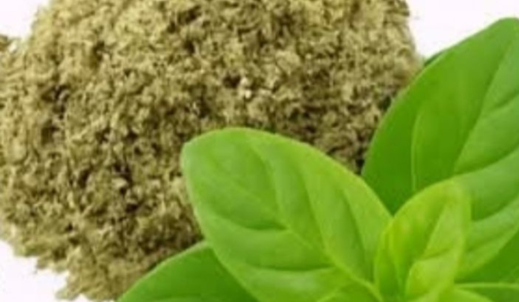 Oregano: The Small Plant with Big Health Benefits