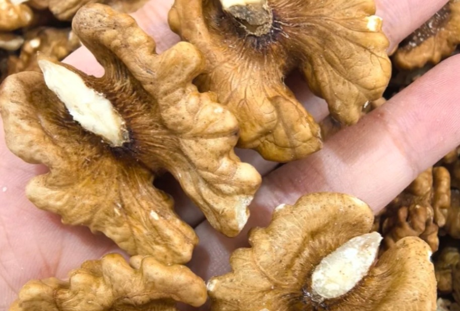Doctors Reveal That Eating Walnuts Causes Remarkable Changes in the Brain and Body