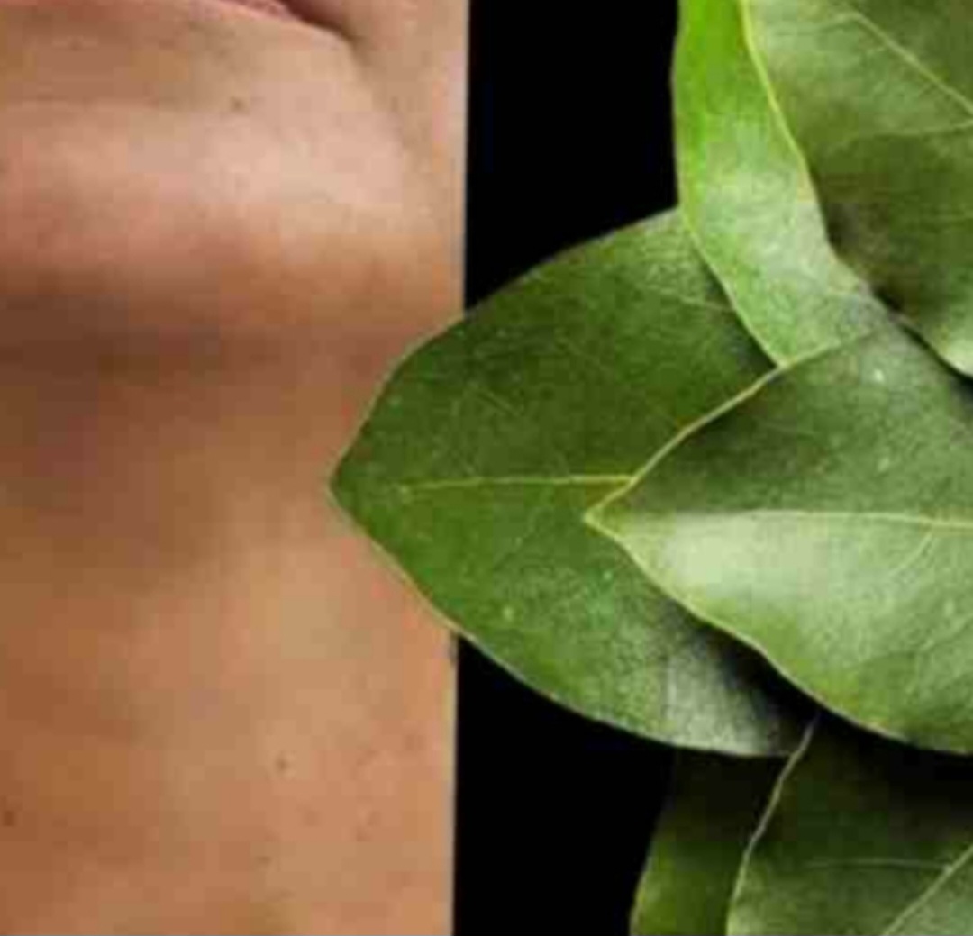 Bay Leaf: The Natural Wrinkle Eraser for Ageless Beauty!